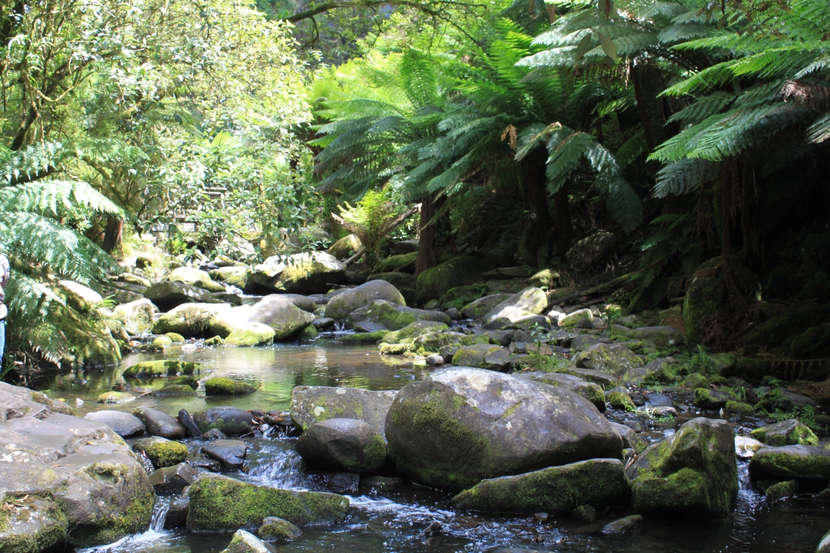 Flusslandschaft in der Nähe der Great Ocean Road