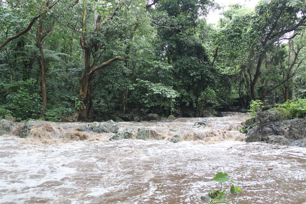 Reißender Fluss nach tropischem Regen