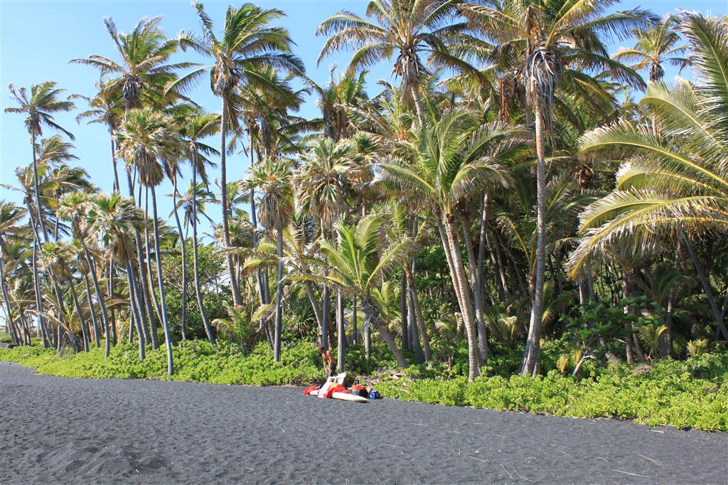 Hawaii Lava Strand