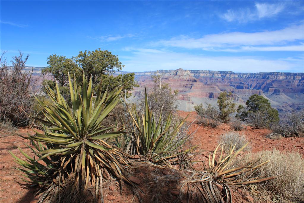 Grand Canyon