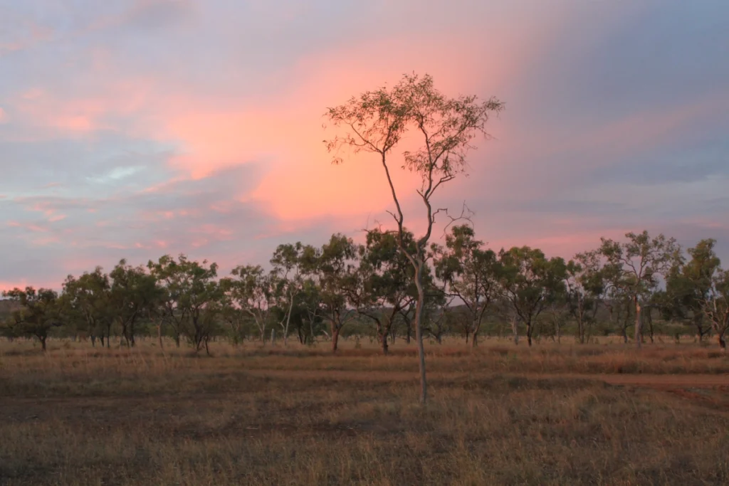 Sonnenuntergang im Outback