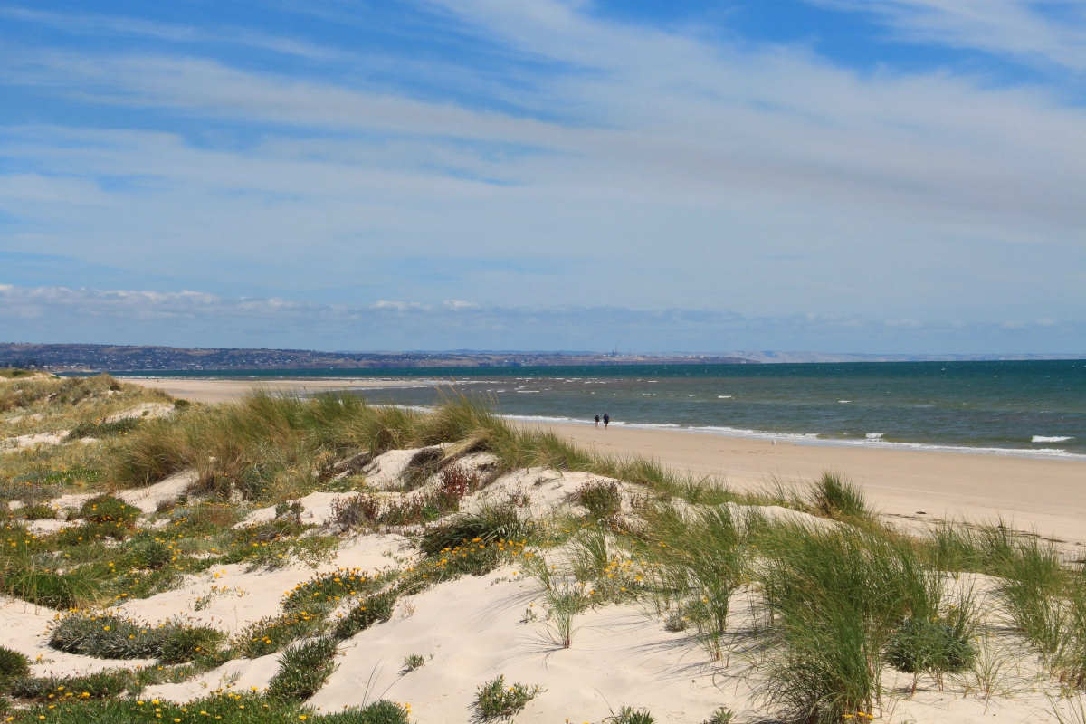 Strand in der Adalaide Region