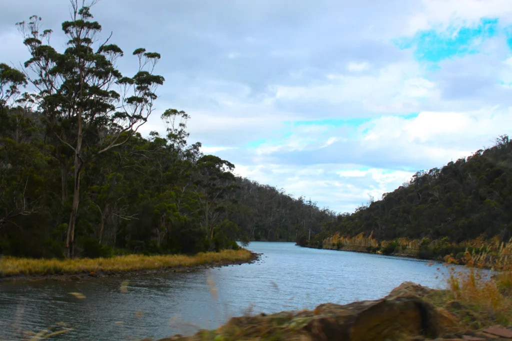 Fluss auf Tasmanien