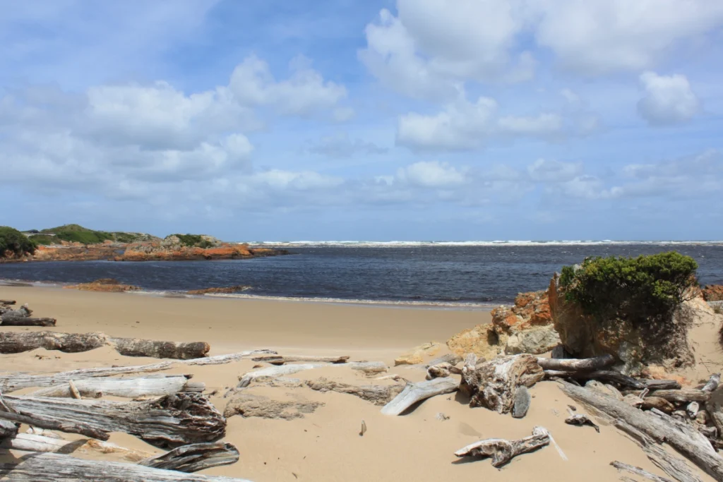 Strand auf Tasmanien