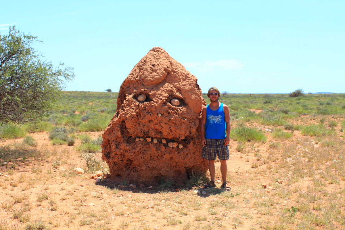 Termitenhuegel in Western Australia