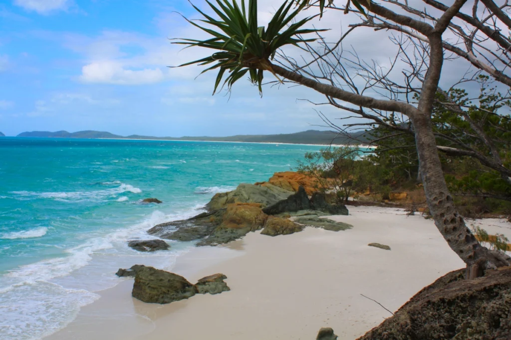 Aussicht auf Fraser Island