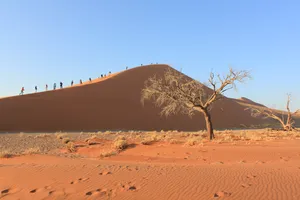 Aufstieg einer Reisegruppe auf die Dune 45