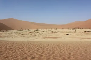 Deadvlei Wüstenlandschaft in Namibia