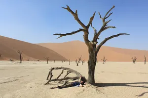 Deadvlei Wüstenlandschaft in Namibia mit Autor an versteinertem Baum liegend