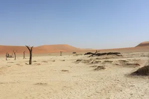 Deadvlei Wüstenlandschaft in Namibia