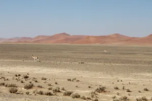 Sussusvlei Wüstenlandschaft in Namibia