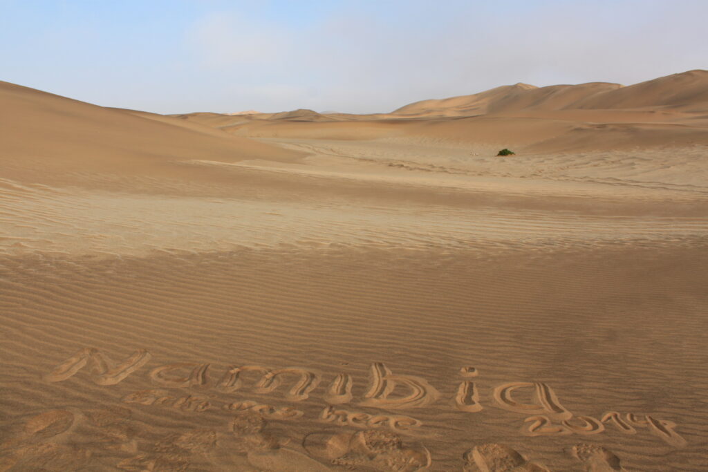 Living Dessert Tour in der Namib Wüste - Panoramabild in der Wüste