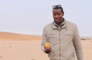 Living Dessert Tour in der Namib Wüste - Wüstenmelone