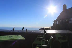 Restaurant auf dem Tafelberg / Südafrika mit Vögeln und Sonne im Hintergrund